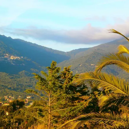 T3 Propriano Propriano (Corsica)